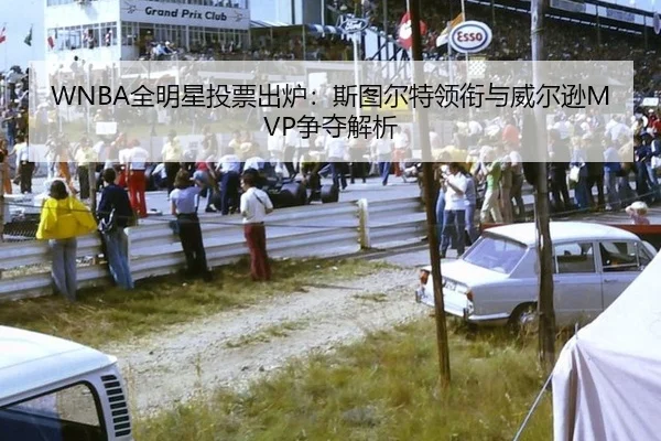 WNBA全明星投票出炉：斯图尔特领衔与威尔逊MVP争夺解析